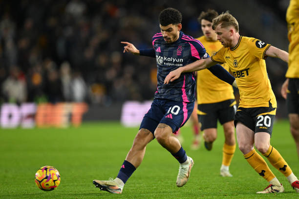 新的视角和 新的视角和