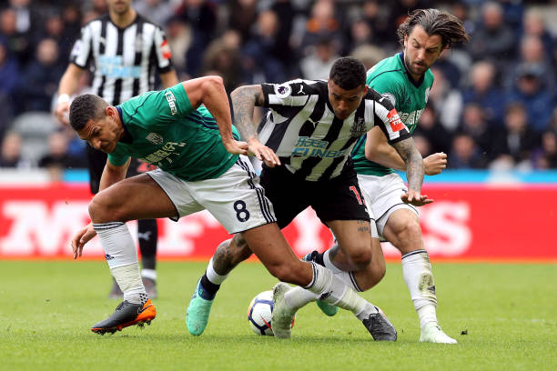 或将决定他 或将决定他